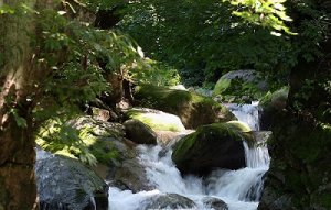 古天乐代言太阳集团网址