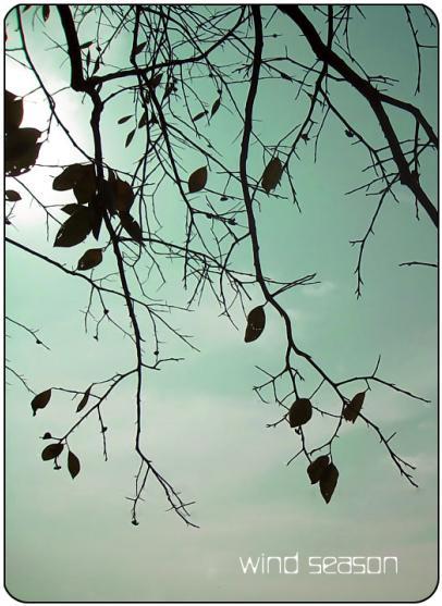 古天乐代言太阳集团网址