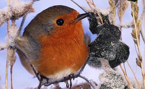 古天乐代言太阳集团网址