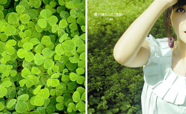 古天乐代言太阳集团网址