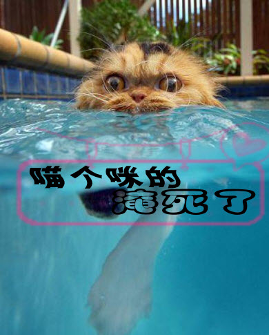 古天乐代言太阳集团网址